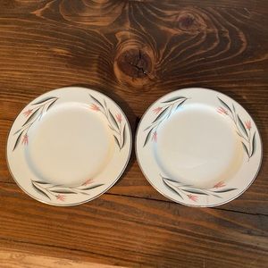 Edwin Knowles Carlton Replacement Desert Plate